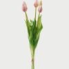 Artificial Flower Tulip 5 bundle GS-24523018-P1_4 Artificial Flower 15*15*43cm Tulip *5 bundle GS-24523018-P1 Bouquet YeahFlower is one of Chinese leading OEM manufacturers and exporters , supplying the silk flowers, wholesale artificial trees