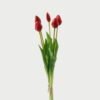 Artificial Flower 15*15*43cm Tulip *5 bundle GS-24523018-R1 Bouquet YeahFlower is one of Chinese leading OEM manufacturers and exporters , supplying the silk flowers, wholesale artificial trees