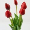 Artificial Flower 15*15*43cm Tulip *5 bundle GS-24523018-R1 Bouquet YeahFlower is one of Chinese leading OEM manufacturers and exporters , supplying the silk flowers, wholesale artificial trees