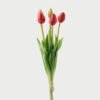 Artificial Flower Tulip 5 bundle GS-24523018-R2 Artificial Flower 15*15*43cm Tulip *5 bundle GS-24523018-R2 Bouquet YeahFlower is one of Chinese leading OEM manufacturers and exporters , supplying the silk flowers, wholesale artificial trees