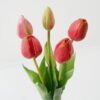 Artificial Flower Tulip 5 bundle GS-24523018-R2_6 Artificial Flower 15*15*43cm Tulip *5 bundle GS-24523018-R2 Bouquet YeahFlower is one of Chinese leading OEM manufacturers and exporters , supplying the silk flowers, wholesale artificial trees