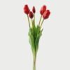 Artificial Flower Tulip 5 bundle GS-24523020-R1_4 Artificial Flower 16*16*46cm Tulip *5 bundle GS-24523020-R1 Bouquet YeahFlower is one of Chinese leading OEM manufacturers and exporters , supplying the silk flowers, wholesale artificial trees