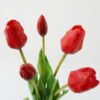 Artificial Flower Tulip 5 bundle GS-24523020-R1_7 Artificial Flower 16*16*46cm Tulip *5 bundle GS-24523020-R1 Bouquet YeahFlower is one of Chinese leading OEM manufacturers and exporters , supplying the silk flowers, wholesale artificial trees