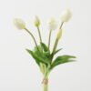 Artificial Flower Tulip 5 bundle GS-31323001CONTI-W1_5 Artificial Flower 17*17*38cm Tulip *5 bundle GS-31323001CONTI-W1 Bouquet YeahFlower is one of Chinese leading OEM manufacturers and exporters , supplying the silk flowers, wholesale artificial trees