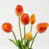 Artificial Flower Tulip 6 bundle GS-31323004CONTI_6 Artificial Flower 15*15*39cm Tulip *6 bundle GS-31323004CONTI Bouquet YeahFlower is one of Chinese leading OEM manufacturers and exporters , supplying the silk flowers, wholesale artificial trees