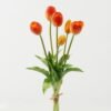 Artificial Flower Tulip 6 bundle GS-31323004CONTI_7 Artificial Flower 15*15*39cm Tulip *6 bundle GS-31323004CONTI Bouquet YeahFlower is one of Chinese leading OEM manufacturers and exporters , supplying the silk flowers, wholesale artificial trees