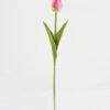 Artificial Flower 8*8*49cm Tulip single stem GS-17823004CONTI Single Flowers YeahFlower is one of Chinese leading OEM manufacturers and exporters , supplying the silk flowers, wholesale artificial trees