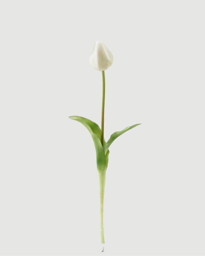 Artificial Flower 14*14*43cm Tulip single stem GS-31323002CONTI-R1 Single Flowers YeahFlower is one of Chinese leading OEM manufacturers and exporters , supplying the silk flowers, wholesale artificial trees