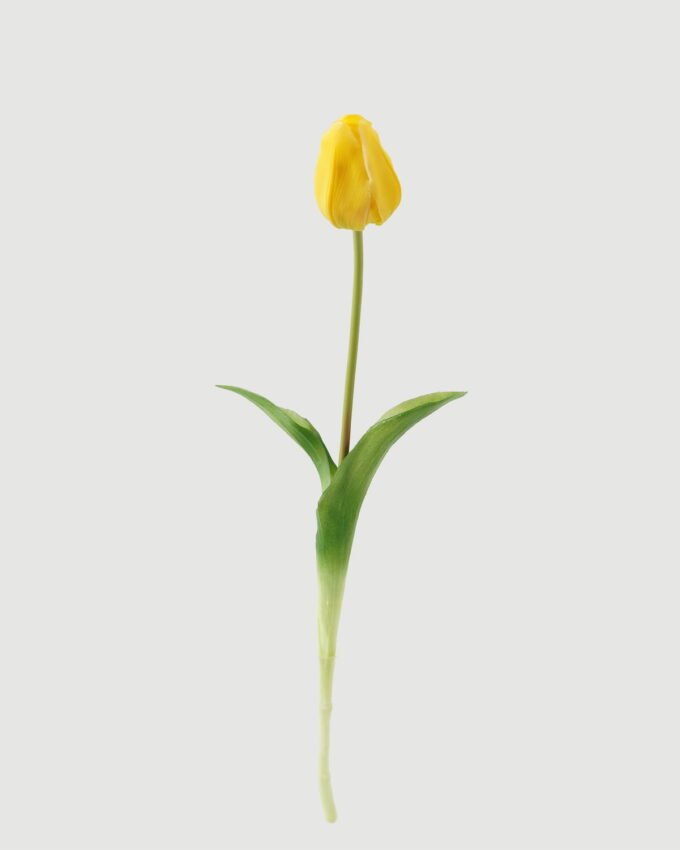 Artificial Flower 14*14*43cm Tulip single stem GS-31323002CONTI-R1 Single Flowers YeahFlower is one of Chinese leading OEM manufacturers and exporters , supplying the silk flowers, wholesale artificial trees