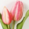 Artificial Flower 12*5*25cm Tulip+Onion *2 single stem GS-41523028-P1 Potted Flowers&Plants YeahFlower is one of Chinese leading OEM manufacturers and exporters , supplying the silk flowers, wholesale artificial trees