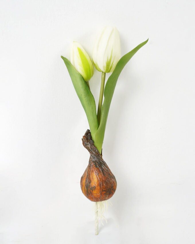 Artificial Flower 12*5*25cm Tulip+Onion *2 single stem GS-41523028-W1 Potted Flowers&Plants YeahFlower is one of Chinese leading OEM manufacturers and exporters , supplying the silk flowers, wholesale artificial trees