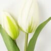 Artificial Flower 12*5*25cm Tulip+Onion *2 single stem GS-41523028-W1 Potted Flowers&Plants YeahFlower is one of Chinese leading OEM manufacturers and exporters , supplying the silk flowers, wholesale artificial trees