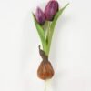 Artificial Flower 12*5*25cm Tulip+Onion *2 single stem GS-41523028-Z2 Potted Flowers&Plants YeahFlower is one of Chinese leading OEM manufacturers and exporters , supplying the silk flowers, wholesale artificial trees