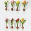 Artificial Flower 12*5*25cm Tulip+Onion *2 single stem GS-41523028 Potted Flowers&Plants YeahFlower is one of Chinese leading OEM manufacturers and exporters , supplying the silk flowers, wholesale artificial trees