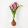 Artificial Flower 12*5*25cm Tulip+Onion *2 single stem GS-41523028 Potted Flowers&Plants YeahFlower is one of Chinese leading OEM manufacturers and exporters , supplying the silk flowers, wholesale artificial trees
