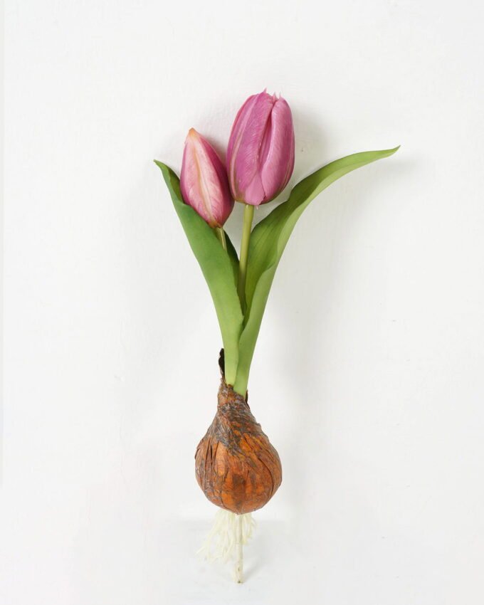 Artificial Flower 12*5*25cm Tulip+Onion *2 single stem GS-41523028 Potted Flowers&Plants YeahFlower is one of Chinese leading OEM manufacturers and exporters , supplying the silk flowers, wholesale artificial trees