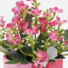 Artificial Flower Wiild flowers in color paper pot GS-03323130-P4P48-POST-P1_4 Artificial Flower 15*15*16cm Wiild flowers in color paper pot GS-03323130-P4P48-POST-P1 Potted Flowers&Plants YeahFlower is one of Chinese leading OEM manufacturers and exporters , supplying the silk flowers, wholesale artificial trees