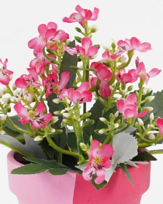 Artificial Flower 15*15*16cm Wiild flowers in color paper pot GS-03323130-P4P48-POST-P1 Potted Flowers&Plants YeahFlower is one of Chinese leading OEM manufacturers and exporters , supplying the silk flowers, wholesale artificial trees