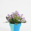 Artificial Flower Wiild flowers in color paper pot GS-03323130-P4P48-POST-Z1_4 Artificial Flower 15*15*16cm Wiild flowers in color paper pot GS-03323130-P4P48-POST-Z1 Potted Flowers&Plants YeahFlower is one of Chinese leading OEM manufacturers and exporters , supplying the silk flowers, wholesale artificial trees
