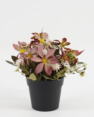 Artificial Flower 20*20*19cm Wild flower in PP pot GS-03323029-R1 Potted Flowers&Plants YeahFlower is one of Chinese leading OEM manufacturers and exporters , supplying the silk flowers, wholesale artificial trees Artificial Flower 20*20*19cm Wild flower in PP pot GS-03323029-R1 Potted Flowers&Plants YeahFlower is one of Chinese leading OEM manufacturers and exporters , supplying the silk flowers, wholesale artificial trees