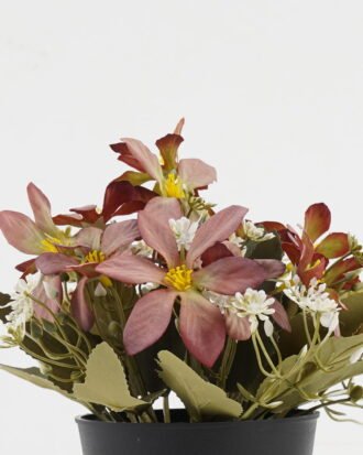 Artificial Flower 20*20*19cm Wild flower in PP pot GS-03323029-R1 Potted Flowers&Plants YeahFlower is one of Chinese leading OEM manufacturers and exporters , supplying the silk flowers, wholesale artificial trees Artificial Flower 20*20*19cm Wild flower in PP pot GS-03323029-R1 Potted Flowers&Plants YeahFlower is one of Chinese leading OEM manufacturers and exporters , supplying the silk flowers, wholesale artificial trees