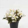 Artificial Flower 20*20*19cm Wild flower in PP pot GS-03323029-W1 Potted Flowers&Plants YeahFlower is one of Chinese leading OEM manufacturers and exporters , supplying the silk flowers, wholesale artificial trees
