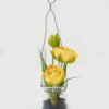 Artificial Flower 9*9*15cm Yilei lulian poottted flower in Glass ware GS-41323002KIK-Y1 Potted Flowers&Plants YeahFlower is one of Chinese leading OEM manufacturers and exporters , supplying the silk flowers, wholesale artificial trees