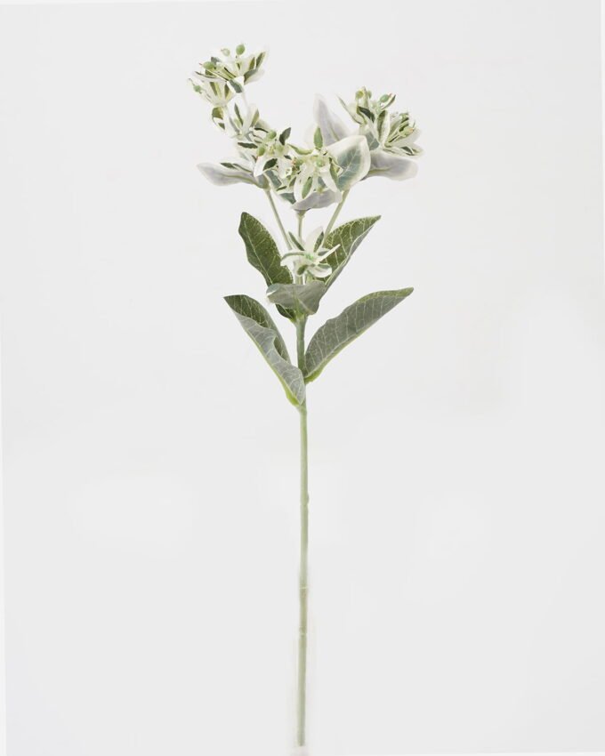 Artificial Flower 13*13*46cm leaf *3 single stem GS-44323003 Single Flowers YeahFlower is one of Chinese leading OEM manufacturers and exporters , supplying the silk flowers, wholesale artificial trees