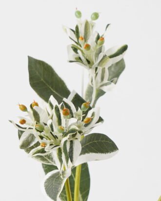 Artificial Flower 24*24*81cm leaf *3 single stem GS-44323004 Single Flowers YeahFlower is one of Chinese leading OEM manufacturers and exporters , supplying the silk flowers, wholesale artificial trees