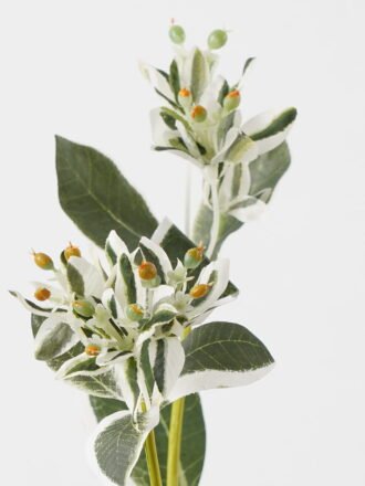 Artificial Flower 13*13*46cm leaf *3 single stem GS-44323003 Single Flowers 3,000+ sqm showroom with thousands of artificial flowers, plants & trees ready for global sourcing.