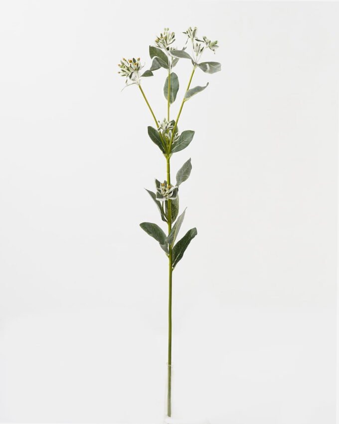 Artificial Flower 24*24*81cm leaf *3 single stem GS-44323004 Single Flowers YeahFlower is one of Chinese leading OEM manufacturers and exporters , supplying the silk flowers, wholesale artificial trees