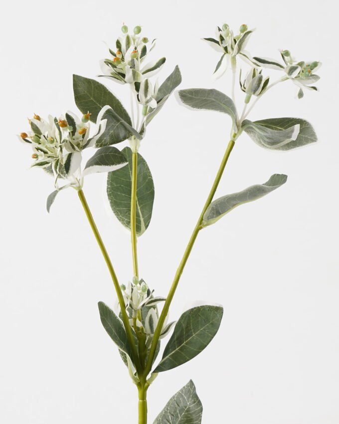 Artificial Flower 24*24*81cm leaf *3 single stem GS-44323004 Single Flowers YeahFlower is one of Chinese leading OEM manufacturers and exporters , supplying the silk flowers, wholesale artificial trees