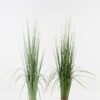 Artificial Grass 50*50*112cm Grass potted grass GS-29423062 Grass&PLANT YeahFlower is one of Chinese leading OEM manufacturers and exporters , supplying the silk flowers, wholesale artificial trees