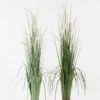 Artificial Grass Green bristlegrass 13 potted grass GS-29423074_1 Artificial Grass 43*43*110cm Green bristlegrass *13 potted grass GS-29423074 Grass&PLANT YeahFlower is one of Chinese leading OEM manufacturers and exporters , supplying the silk flowers, wholesale artificial trees