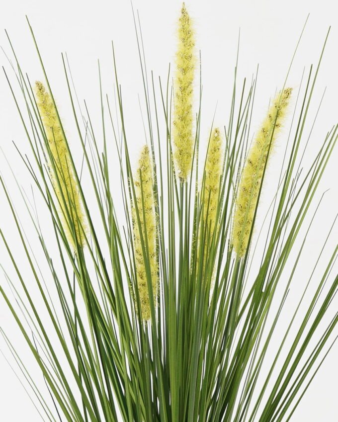 Artificial Grass 25*25*64cm Green bristlegrass *5 GS-29423095-G3 Grass&PLANT YeahFlower is one of Chinese leading OEM manufacturers and exporters , supplying the silk flowers, wholesale artificial trees