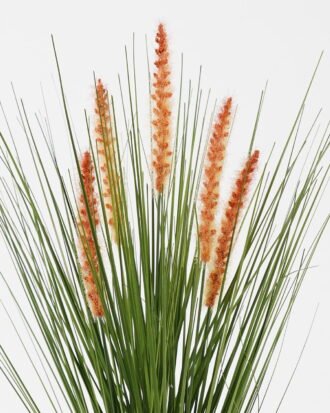 Artificial Grass 25*25*64cm Green bristlegrass *5 GS-29423095-O1 Grass&PLANT YeahFlower is one of Chinese leading OEM manufacturers and exporters , supplying the silk flowers, wholesale artificial trees