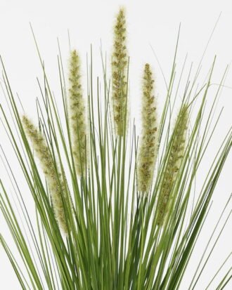 Artificial Grass 25*25*64cm Green bristlegrass *5 GS-29423095 Grass&PLANT YeahFlower is one of Chinese leading OEM manufacturers and exporters , supplying the silk flowers, wholesale artificial trees