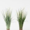 Artificial Grass Green bristlegrass 5 potted grass GS-29423076_1 Artificial Grass 29*29*48cm Green bristlegrass *5 potted grass GS-29423076 Grass&PLANT YeahFlower is one of Chinese leading OEM manufacturers and exporters , supplying the silk flowers, wholesale artificial trees