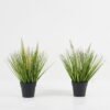 Artificial Grass Ophiuros 3 in PP pot GS-29423112_1 Artificial Grass 28*28*34cm Ophiuros *3 in PP pot GS-29423112 Grass&PLANT YeahFlower is one of Chinese leading OEM manufacturers and exporters , supplying the silk flowers, wholesale artificial trees