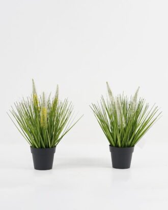 Artificial Grass 28*28*34cm Ophiuros *3 in PP pot GS-29423112 Grass&PLANT YeahFlower is one of Chinese leading OEM manufacturers and exporters , supplying the silk flowers, wholesale artificial trees