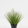 Artificial Grass Ophiuros 3 in PP pot GS-29423112_3 Artificial Grass 28*28*34cm Ophiuros *3 in PP pot GS-29423112 Grass&PLANT YeahFlower is one of Chinese leading OEM manufacturers and exporters , supplying the silk flowers, wholesale artificial trees