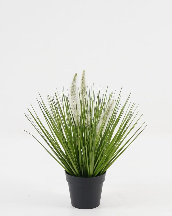 Artificial Grass Ophiuros 3 in PP pot GS-29423112_3 Artificial Grass 28*28*34cm Ophiuros *3 in PP pot GS-29423112 Grass&PLANT YeahFlower is one of Chinese leading OEM manufacturers and exporters , supplying the silk flowers, wholesale artificial trees