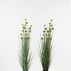 Artificial Grass Plastic grass 17 in PP pot GS-29423077_1 Artificial Grass 35*35*117cm Plastic grass *17 in PP pot GS-29423077 Grass&PLANT YeahFlower is one of Chinese leading OEM manufacturers and exporters , supplying the silk flowers, wholesale artificial trees