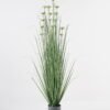 Artificial Grass 40*40*118cm Plastic grass *17 in PP pot GS-29423092 Grass&PLANT YeahFlower is one of Chinese leading OEM manufacturers and exporters , supplying the silk flowers, wholesale artificial trees