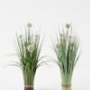 Artificial Grass Plastic grass 5 potted grass GS-29423091_1 Artificial Grass 35*35*46cm Plastic grass *5 potted grass GS-29423091 Grass&PLANT YeahFlower is one of Chinese leading OEM manufacturers and exporters , supplying the silk flowers, wholesale artificial trees
