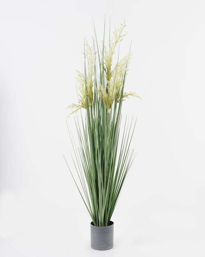 Artificial Grass 30*30*119cm Sorghum grass *5 in PP pot GS-29423083 Grass&PLANT YeahFlower is one of Chinese leading OEM manufacturers and exporters , supplying the silk flowers, wholesale artificial trees