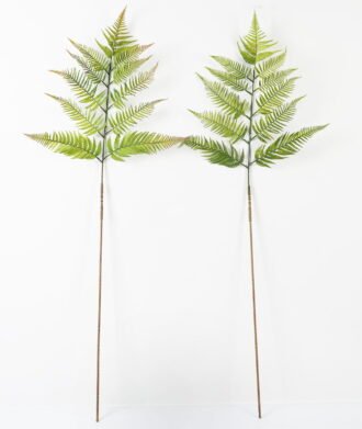 Artificial Plant 137cm Caulerpa taxifolia single stem GS-70323002CONTI Leaves&Sprays&Foliages YeahFlower is one of Chinese leading OEM manufacturers and exporters , supplying the silk flowers, wholesale artificial trees Artificial Plant 137cm Caulerpa taxifolia single stem GS-70323002CONTI Leaves&Sprays&Foliages YeahFlower is one of Chinese leading OEM manufacturers and exporters , supplying the silk flowers, wholesale artificial trees