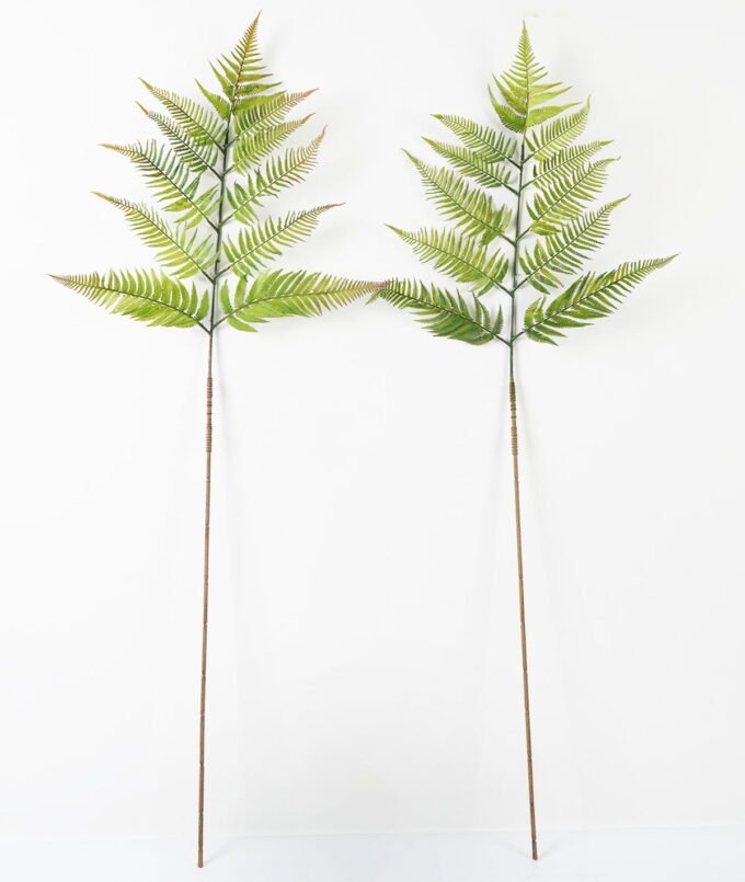 Artificial Plant 137cm Caulerpa taxifolia single stem GS-70323002CONTI_1 Artificial Plant 137cm Caulerpa taxifolia single stem GS-70323002CONTI Leaves&Sprays&Foliages YeahFlower is one of Chinese leading OEM manufacturers and exporters , supplying the silk flowers, wholesale artificial trees