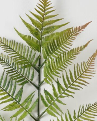 Artificial Plant 137cm Caulerpa taxifolia single stem GS-70323002CONTI Leaves&Sprays&Foliages YeahFlower is one of Chinese leading OEM manufacturers and exporters , supplying the silk flowers, wholesale artificial trees Artificial Plant 137cm Caulerpa taxifolia single stem GS-70323002CONTI Leaves&Sprays&Foliages YeahFlower is one of Chinese leading OEM manufacturers and exporters , supplying the silk flowers, wholesale artificial trees