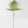 Artificial Plant 137cm Caulerpa taxifolia single stem GS-70323002CONTI_3 Artificial Plant 137cm Caulerpa taxifolia single stem GS-70323002CONTI Leaves&Sprays&Foliages YeahFlower is one of Chinese leading OEM manufacturers and exporters , supplying the silk flowers, wholesale artificial trees